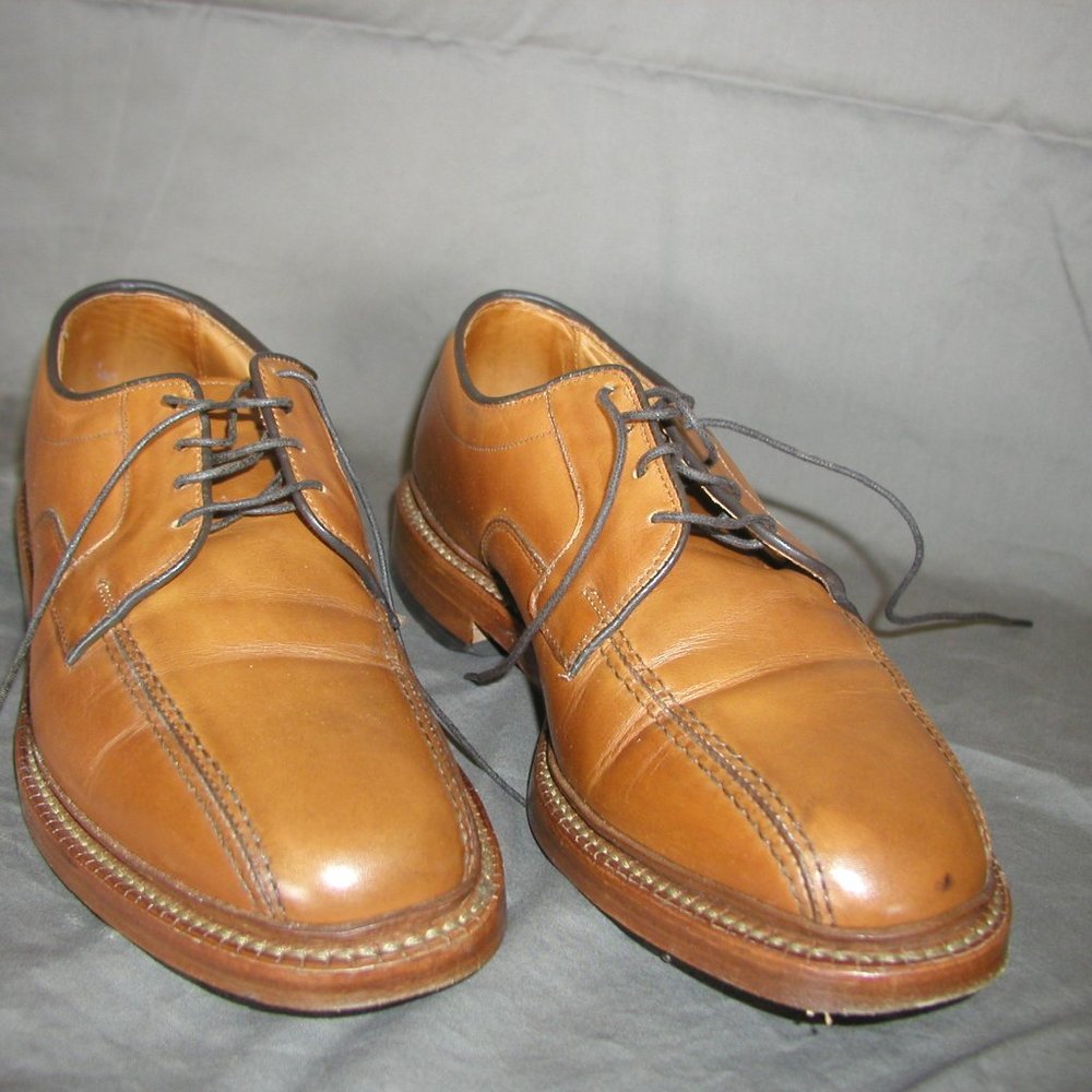 Allen Edmund Dress Shoes